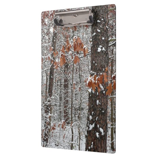Schneebedeckte Eichenbäume Winternaturfotografie Klemmbrett (Links)