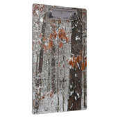 Schneebedeckte Eichenbäume Winternaturfotografie Klemmbrett (Rechts)