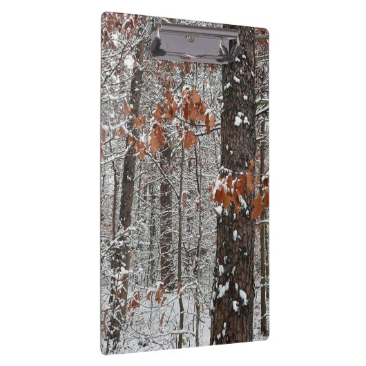 Schneebedeckte Eichenbäume Winternaturfotografie Klemmbrett (Rechts)