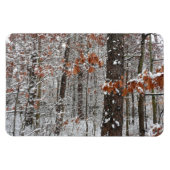 Schneebedeckte Eichenbäume Winternaturfotografie Magnet (Horizontal)
