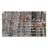 Schneebedeckte Eichenbäume Winternaturfotografie