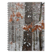 Schneebedeckte Eichenbäume Winternaturfotografie Notizblock (Vorderseite)