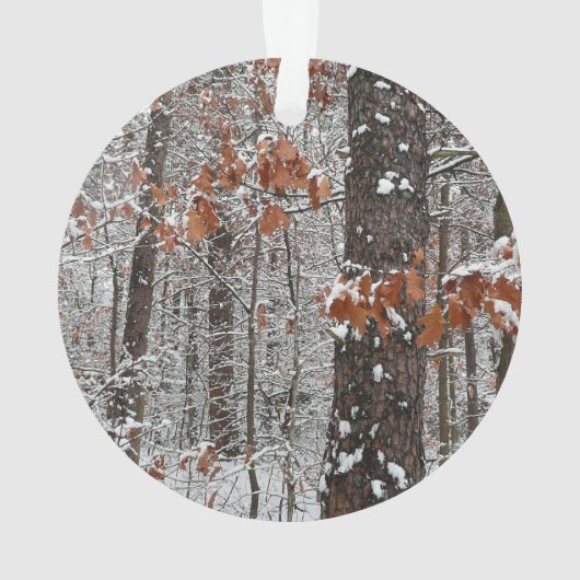 Schneebedeckte Eichenbäume Winternaturfotografie Ornament (Rückseite)