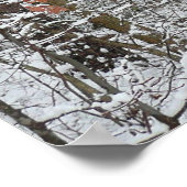 Schneebedeckte Eichenbäume Winternaturfotografie Poster (Ecke)