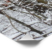 Schneebedeckte Eichenbäume Winternaturfotografie Poster (Ecke)