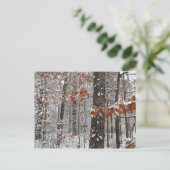 Schneebedeckte Eichenbäume Winternaturfotografie Postkarte (Stehend Vorderseite)
