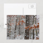 Schneebedeckte Eichenbäume Winternaturfotografie Postkarte (Vorne/Hinten)