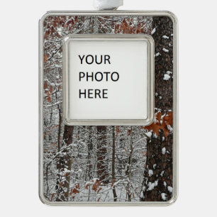 Schneebedeckte Eichenbäume Winternaturfotografie Rahmen-Ornament Silber