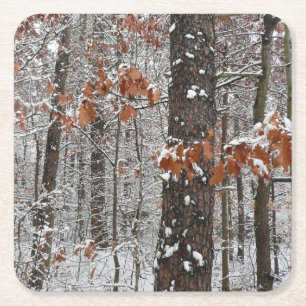 Schneebedeckte Eichenbäume Winternaturfotografie Rechteckiger Pappuntersetzer
