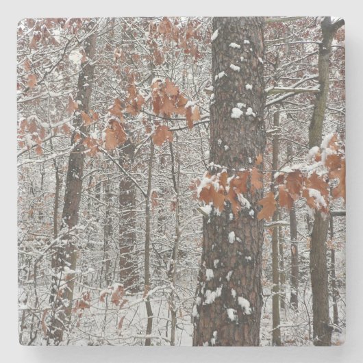 Schneebedeckte Eichenbäume Winternaturfotografie Steinuntersetzer (Vorderseite)