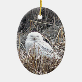 schneebedeckte Eule Keramik Ornament