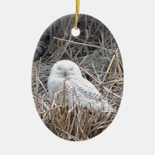 schneebedeckte Eule Keramik Ornament (Vorne)