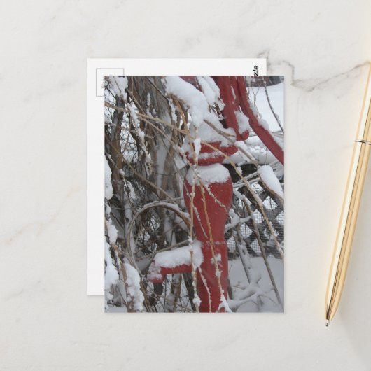Schneebedeckte Gartenszene Postkarte (Vorderseite/Rückseite Beispiel)