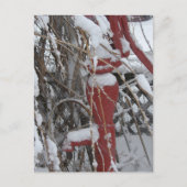 Schneebedeckte Gartenszene Postkarte (Vorderseite)