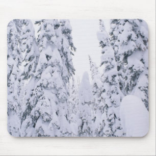 Schneebedeckte Häuschenpfostenkiefern Mousepad