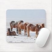 Schneebedeckte isländische Pferde Mousepad (Mit Mouse)
