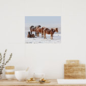 Schneebedeckte isländische Pferde Poster (Küche)
