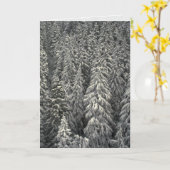 Schneebedeckte Kiefer Karte (Gelbe Blume)