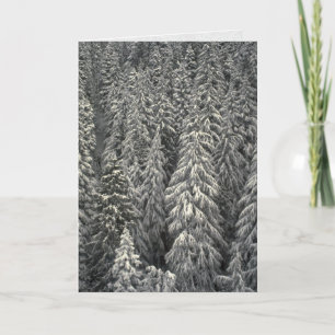 Schneebedeckte Kiefer Karte