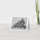 Schneebedeckte Kiefern Dankeskarte (Vorderseite)