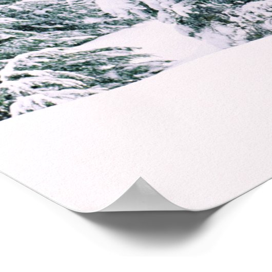 Schneebedeckte Kiefern Poster (Ecke)