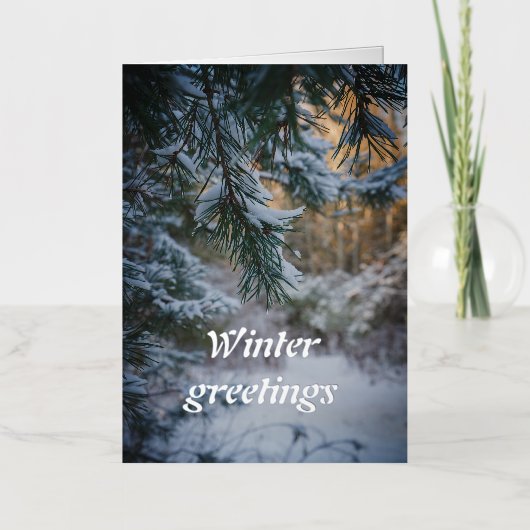 Schneebedeckte Kiefernäste (Vorderseite)