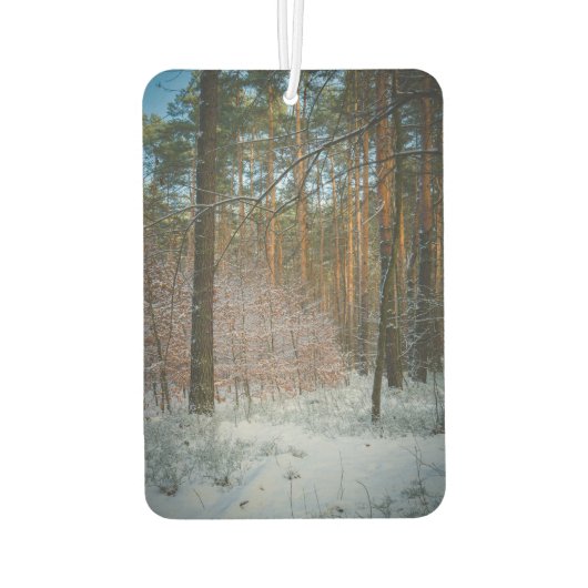 Schneebedeckte Kiefernäste Autolufterfrischer (Rückseite)