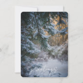 Schneebedeckte Kiefernäste Feiertagskarte (Vorderseite)