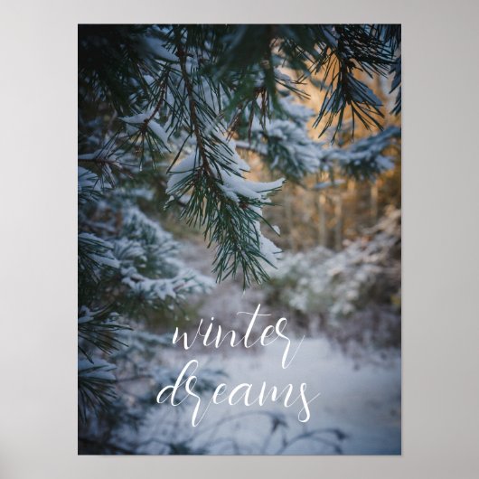 Schneebedeckte Kiefernäste Poster (Vorne)