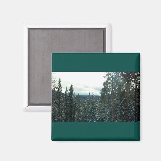 Schneebedeckte Kiefernwälder Magnet (Vorderseite/Rückseite)