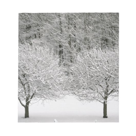 Schneebedeckte Landschaft Notizblock (Vorderseite)