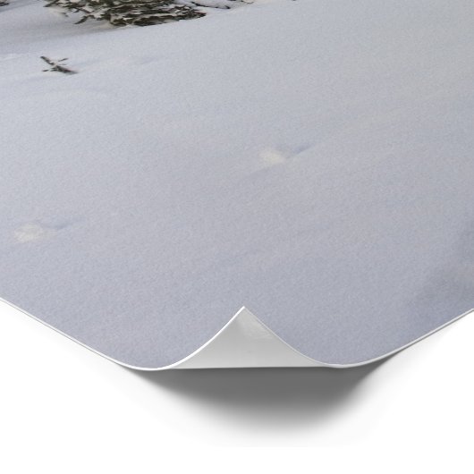Schneebedeckte Landschaft Poster (Ecke)
