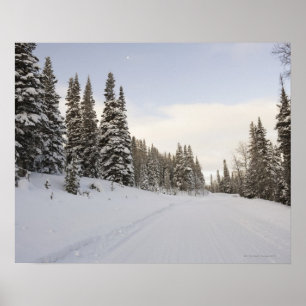 Schneebedeckte Landschaft Poster