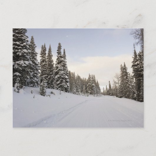 Schneebedeckte Landschaft Postkarte (Vorderseite)