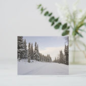 Schneebedeckte Landschaft Postkarte (Stehend Vorderseite)