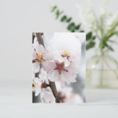 Schneebedeckte Mandelbaum-Blume Postkarte (Stehend Vorderseite)