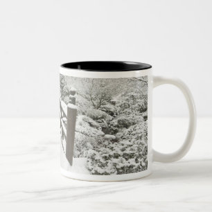 Schneebedeckte Mondbrücke, Japanischer Garten Zweifarbige Tasse