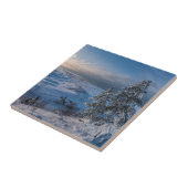 Schneebedeckte Ostseeküste Fliese (Seite)