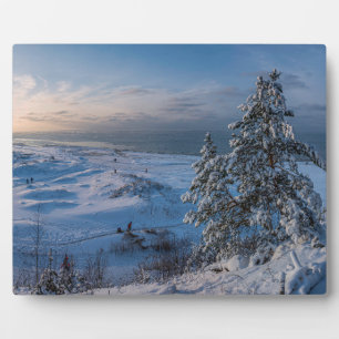 Schneebedeckte Ostseeküste Fotoplatte