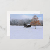 Schneebedeckte Paddock Foil Holiday Postkarte (Vorderseite/Rückseite)