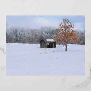 Schneebedeckte Paddock Foil Holiday Postkarte
