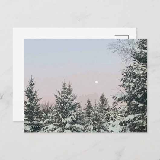 Schneebedeckte Pine Trees Moon Sunset Postkarte (Vorne/Hinten)