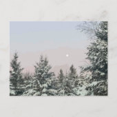 Schneebedeckte Pine Trees Moon Sunset Postkarte (Vorderseite)