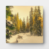 Schneebedeckte Pinienwälder Foto Fotoplatte (Vorderseite)