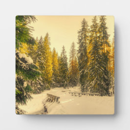 Schneebedeckte Pinienwälder Foto Fotoplatte