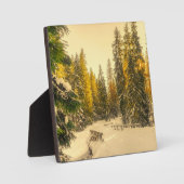 Schneebedeckte Pinienwälder Foto Fotoplatte (Vorderseite)