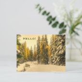 Schneebedeckte Pinienwälder Foto Hallo Postkarte (Stehend Vorderseite)