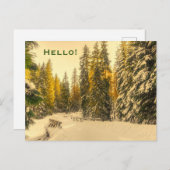Schneebedeckte Pinienwälder Foto Hallo Postkarte (Vorne/Hinten)