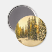 Schneebedeckte Pinienwälder Foto Magnet (Vorderseite/Rückseite)