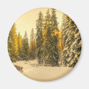 Schneebedeckte Pinienwälder Foto Magnet